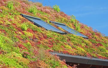 Failsworth living roof systems