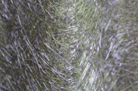 Failsworth fibreglass roof work